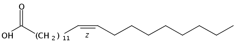 Structural formula of 13(Z)-Docosenoic acid