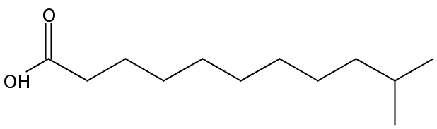 Structural formula of 10-Methylundecanoic acid