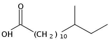 Structural formula of 12-Methyltetradecanoic acid
