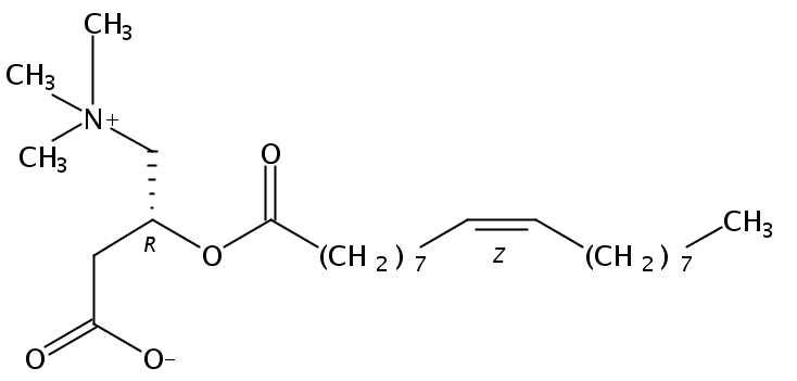Structural formula of 9(Z)-Octadecenoyl-L-Carnitine