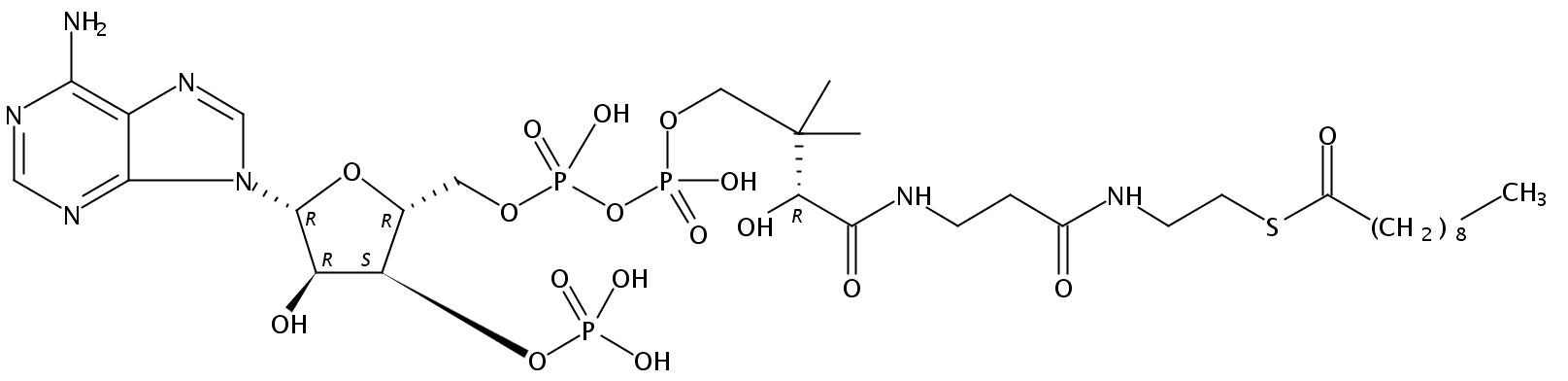 Structural formula of Decanoyl Coenzyme A free acid