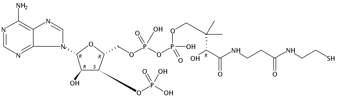 Structural formula of Coenzyme A free acid