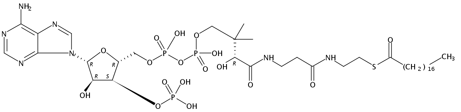 Structural formula of Octadecanoyl Coenzyme A free acid
