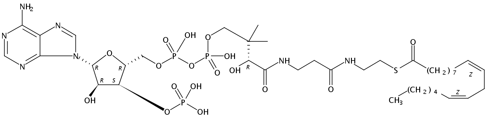 Structural formula of 9(Z),12(Z)-Octadecadienoyl Coenzyme A, free acid