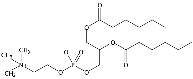 Structural formula of 1,2-Dihexanoyl-sn-Glycero-3-Phosphatidylcholine