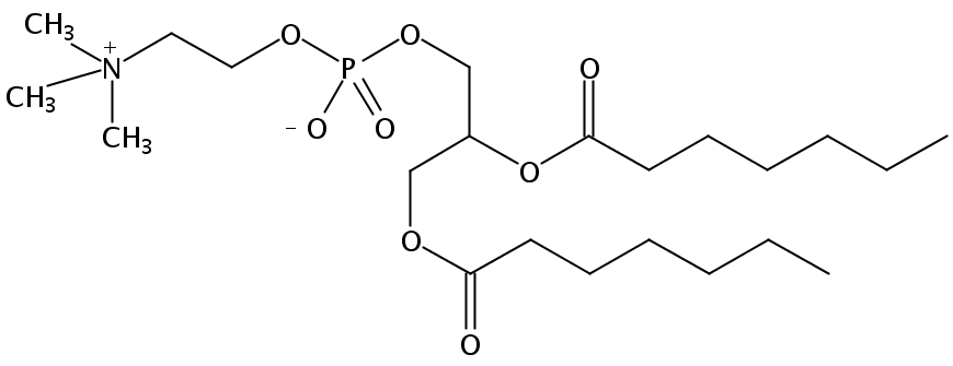 Structural formula of 1,2-Diheptanoyl-sn-Glycero-3-Phosphatidylcholine
