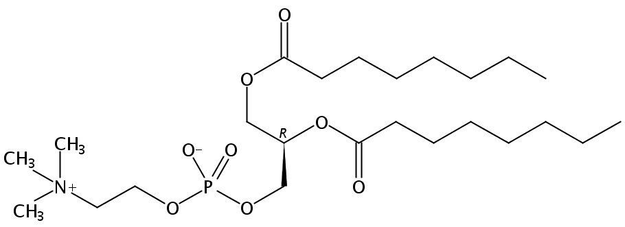 Structural formula of 1,2-Dioctanoyl-sn-Glycero-3-Phosphatidylcholine