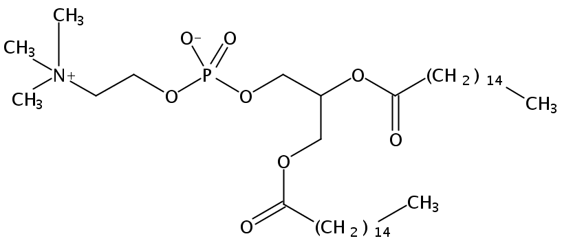 Structural formula of 1,2-Dipalmitoyl-sn-Glycero-3-Phosphatidylcholine