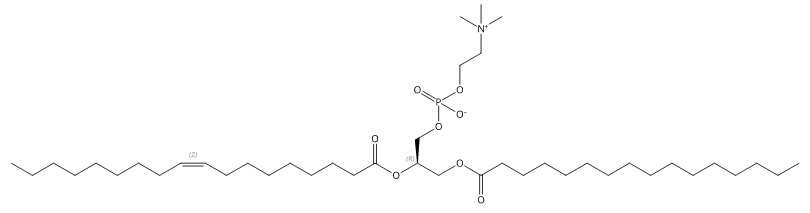 Structural formula of 1-Palmitoyl-2-Oleoyl-sn-Glycero-3-Phosphatidylcholine