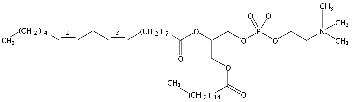 Structural formula of 1-Palmitoyl-2-Linoleoyl-sn-Glycero-3-Phosphatidylcholine