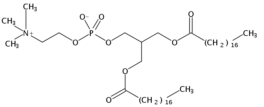 Structural formula of 1,2-Distearoyl-sn-Glycero-3-Phosphatidylcholine