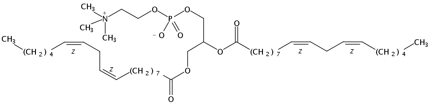 Structural formula of 1,2-Dilinoleoyl-sn-Glycero-3-Phosphatidylcholine