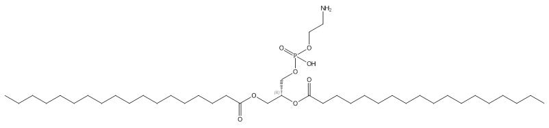 Structural formula of 1,2-Distearoyl-sn-Glycero-3-Phosphatidylethanolamine