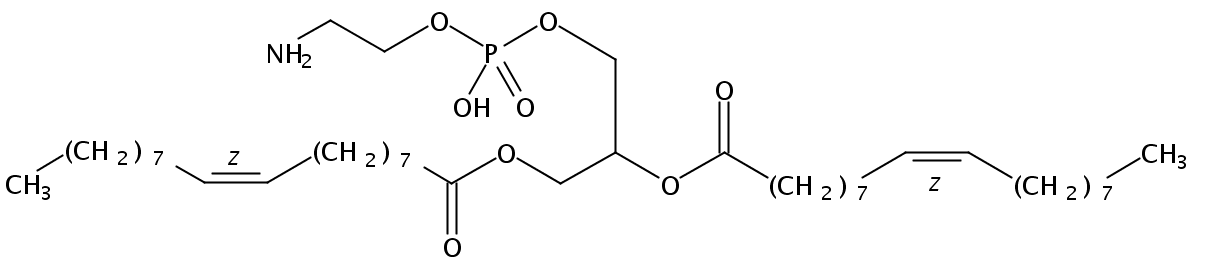 Structural formula of 1,2-Dioleoyl-sn-Glycero-3-Phosphatidylethanolamine