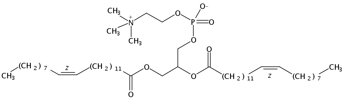 Structural formula of 1,2-Dierucoyl-sn-Glycero-3-Phosphatidylcholine