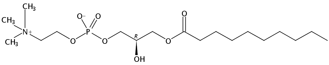 Structural formula of 1-Decanoyl-2-Hydroxy-sn-Glycero-3-Phosphatidylcholine