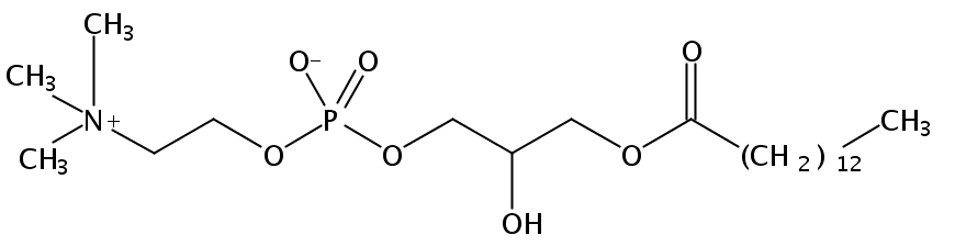 Structural formula of 1-Myristoyl-2-Hydroxy-sn-Glycero-3-Phosphatidylcholine