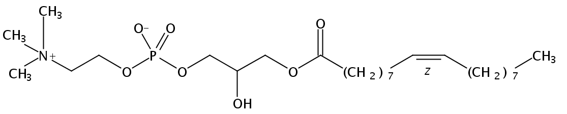 Structural formula of 1-Oleoyl-2-Hydroxy-sn-Glycero-3-Phosphatidylcholine