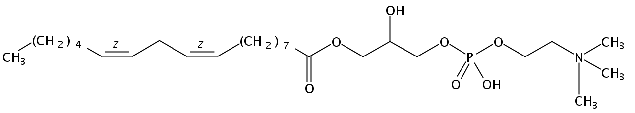 Structural formula of 1-Linoleoyl-2-Hydroxy-sn-Glycero-3-Phosphatidylcholine