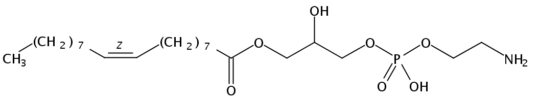 Structural formula of 1-Oleoyl-2-Hydroxy-sn-Glycero-3-Phosphatidylethanolamine
