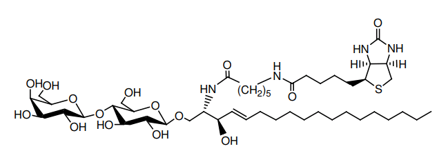 Structural formula of N-Hexanoyl-biotin-lactosylceramide