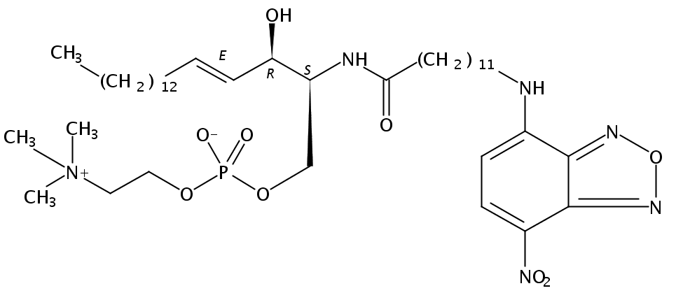 Structural formula of C12 NBD-Sphingosylphosphorylcholine