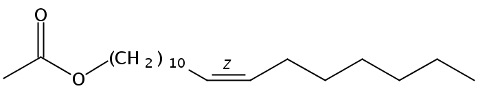 Structural formula of 11(Z)-Vaccenyl acetate
