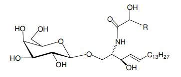 Structural formula of Cerebroside (Phrenosin)